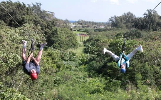 Two people ziplining upside down over lush green forest with blue sky in the background.